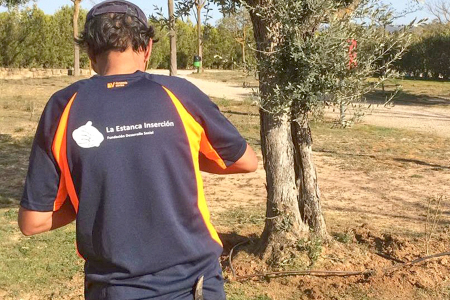 Técnico de inserción